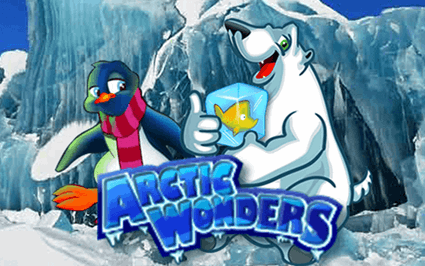 ARCTIC WONDERS