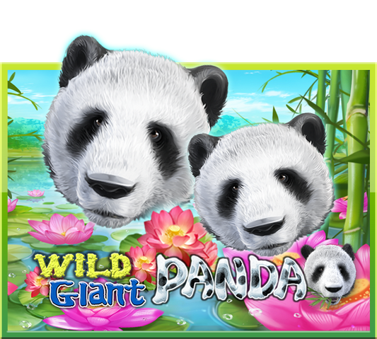 Wild Giant Panda