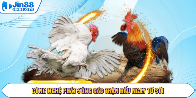 Công nghệ phát sóng các trận đấu ngay từ sới