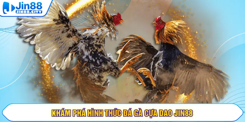 Khám phá hình thức đá gà cựa dao JIN88