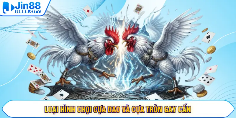 Loại hình chọi cựa dao và cựa tròn gay cấn